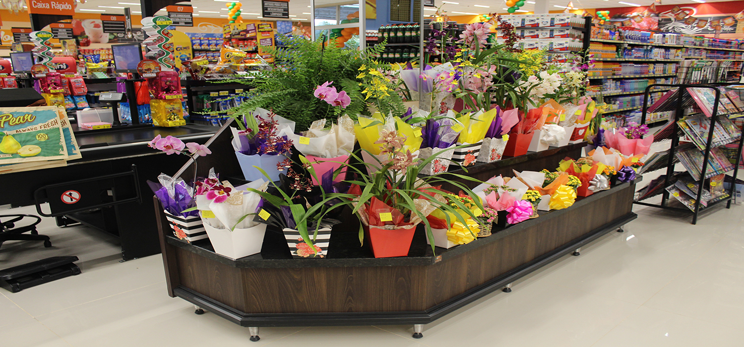 Décimo-quarto slide