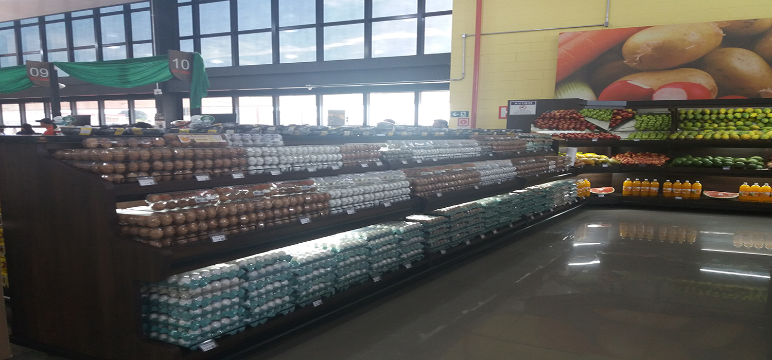 Décimo-quinto slide